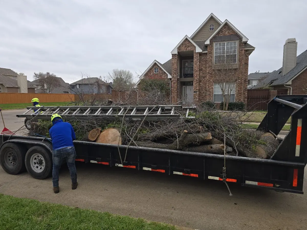 Expert Tree Fertilization with proper safety equipment in Herscher